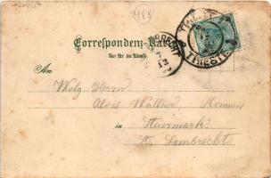 1903 Trieste, Trst, Trieszt; Trieste e la Bora No. 12. Stazione Meridionale, La Bora dispettosa / Th...