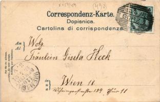 1901 Gorizia, Görz; bridge over Isonzo river (tiny tear)