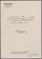 1971 Bp., Magyar Államvasutak Vezérigazgatósága által kiállított kinevezési okirat Mészáros Károly (...