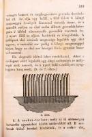 Szomor Károly: Hadmezei szolgálat. Emlékeztető és tanácsadó zseb-könyv gyalog, tüzér, lovas fő- és a...