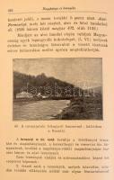 Palmer Kálmán: Nagybánya és környéke. A Magyar Országos Bányászati és Kohászati Egyesület első vándo...