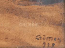 Olvashatatlan jelzéssel: Hazafelé. Tus, papír, 35x49 cm. Üvegezett fakeretben