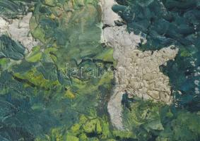 Widder Félix (1874-1939): Zöldellő táj, 1938. Olaj, karton, jelzett. Fa keretben, 60×78 cm