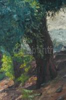 Widder Félix (1874-1939): Zöldellő táj, 1938. Olaj, karton, jelzett. Fa keretben, 60×78 cm