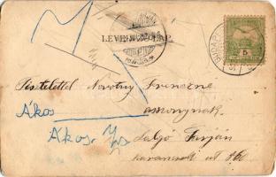 1902 Budapest XII. Svábhegy, Nemes-féle vízgyógyintézet (b)