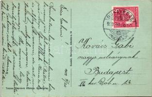 1929 Dunavecse, Járási székház. Takács Testvérek kiadása (fl)