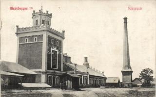 Mezőhegyes Szeszgyár