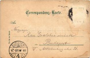 1903 Ika, Ica (Abbazia, Opatija); látkép. Rüger &amp; Co. 8206. / view (Rb)