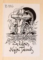 Alexis de Tocqueville: A demokrácia Amerikában. Válogatás. Vál. és az utószót írta: Kulcsár Kálmán. ...