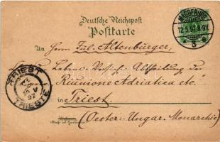 1897 Magdeburg, Dom / view, steamship, cathedral. Art Nouveau, floral, litho (small tear)