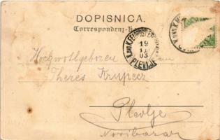 1903 Gorazde, Gorazda; Totalansicht. Albert Thier / general view (Rb)