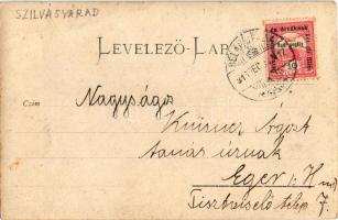 1917 Szilvásvárad, Őrgróf Pallavinici kastély. photo (fa)