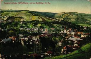 Weidling (Klosterneuburg), Sommerfrische. P. Ledermann (Wien) / view, villas (EK)