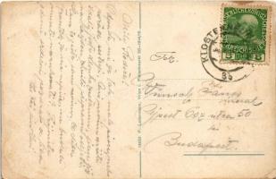 Weidling (Klosterneuburg), Sommerfrische. P. Ledermann (Wien) / view, villas (EK)