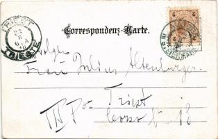 1898 Bad Aussee (Steiermark), Gruss aus Altaussee. Art Nouveau, floral. litho (EK)