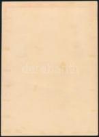 1919 Magyar Tanácsköztársasági arcképek emléklap bélyegzés nélkül / souvenir card without cancellati...