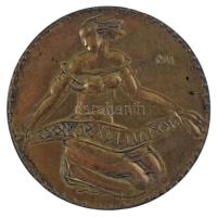 Máté István (1952-) 1982. "Csongrádi Napok" kétoldalas sárgaréz emlékérem (57mm) T:XF