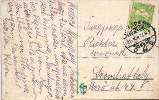 1914 Budapest XII. Vöröskereszt szanatórium park részlete. Győri út 17. (fl)