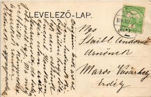 1909 Zsombolya, Hatzfeld, Jimbolia; Gróf Csekonics kastélya. Perlstein F. kiadása / castle (EK)