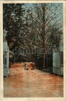 1915 Zsombolya, Hatzfeld, Jimbolia; Liget bemenet Gróf Csekonics kastélyhoz / Parkeingang in das Gra...