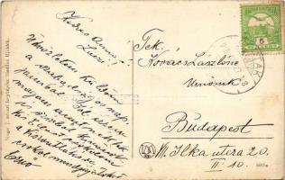 1916 Futak, Futtak, Futog; Marianum kórház, Rudolphinum zárda, Gróf Chotek kastély (Hadik-Chotek kas...