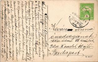 1915 Zólyom, Zvolen; látkép. Zólyom és Vidék könyvnyomda kiadása / general view (EK)