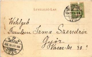1904 Vittenc, Wittencz, Wittenz, Chtelnica; Pálffy kastély / castle + "ZSOLNA - POZSONY 47. SZ....