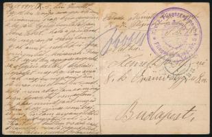 1915 Tábori posta képeslap / Field postcard "K.u.k. Fliegerregiment / Fliegerkompagnie Nr.9.&qu...