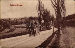 1911 Szliács, Sliac; Szliácsra felmenet, lovaskocsi. Zólyom és Vidéke kiadása 17. / road to Sliac, h...
