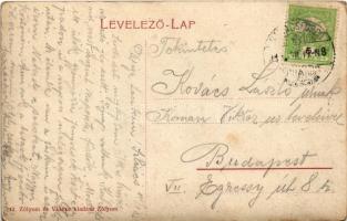 1911 Szliács, Sliac; Szliácsra felmenet, lovaskocsi. Zólyom és Vidéke kiadása 17. / road to Sliac, h...