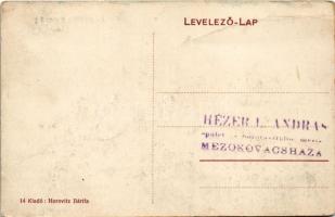 Zboró, Zborov; Rákóczi-féle kastély. Horovitz kiadása / castle (fa)