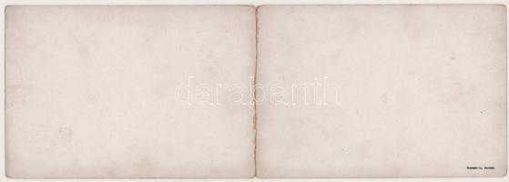 Lake Geneva, Lac Léman; Montreux. Panoramá des Alpes / general view of the Alps, map. 2-tiled foldin...