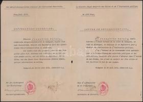 1913 Bp., vadasi és jeszeniczei Jankovich Béla (1865-1939) oktatáspolitikus, közgazdász, vallás- és ...