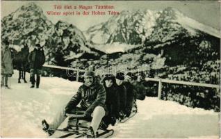 Tátra, Magas-Tátra, Vysoké Tatry; Téli élet a Magas Tátrában, szánkózók, irányítható bobsleigh / Win...