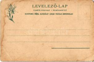 Tátra, Magas-Tátra, Vysoké Tatry; Lemenet a Vadorzó-hágóról a Tengerszemhez. Feitzinger Ede 1902/12....