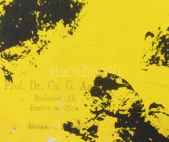 Philippe Schwarz (-): Schönbrunn, bécsi állatkerti plakát nagymacskákkal, 1956 körül, plakát, papír,...