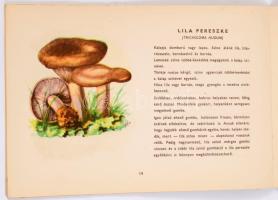 Bohus Gábor - Kalmár Zoltán: Erdő-mező gombái. Bp., 1956, Mezőgazdasági, 181+1 p.+24 (színes képtábl...