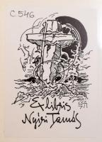 Vasadi Péter: Tűzjel. A szerző, Vasadi Péter (1926-2017) költő, író esszéíró által Nyíri Tamás (1920...