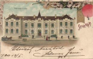 Szigetvár Állami Polgári Fiúiskola litho