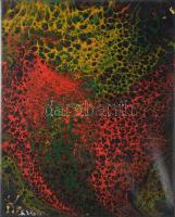 Olvashatatlan jelzéssel: Áramlás. Olaj, vászon, vakráma sérült, 50×40 cm