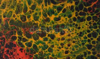 Olvashatatlan jelzéssel: Áramlás. Olaj, vászon, vakráma sérült, 50×40 cm