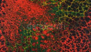 Olvashatatlan jelzéssel: Áramlás. Olaj, vászon, vakráma sérült, 50×40 cm