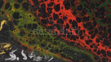 Olvashatatlan jelzéssel: Áramlás. Olaj, vászon, vakráma sérült, 50×40 cm