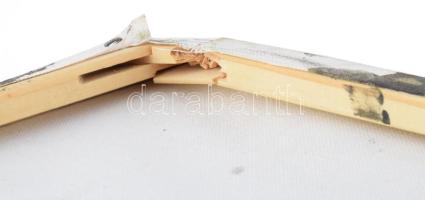 Olvashatatlan jelzéssel: Áramlás. Olaj, vászon, vakráma sérült, 50×40 cm