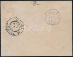 1893 Peterdi-féle hajóposta levél / Peterdy sea mail "TRIESTE", "Paquebot.", &qu...