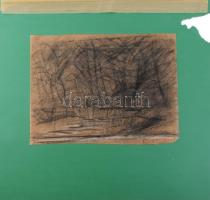 Mednyánszky jelzéssel: Hangulatos táj. Szén, papír. Lap alja vágott és levágott Mednyánszky hagyaték...