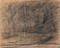 Mednyánszky jelzéssel: Hangulatos táj. Szén, papír. Lap alja vágott és levágott Mednyánszky hagyaték...