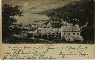 1899 Trieste, Trieszt; Barcola (tiny pinhole)