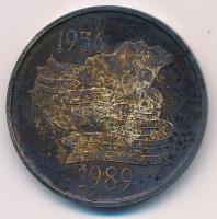 Kósa István (1953-) 1989. "Kádár János / 1956-1989" Ag emlékérem (31,06g/0.925/38mm) T:AU ...