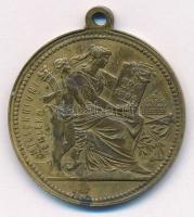 1896. "Milleniumi emlék / I. Ferencz József" kétoldalas bronz emlékérem füllel (30mm) T:AU...